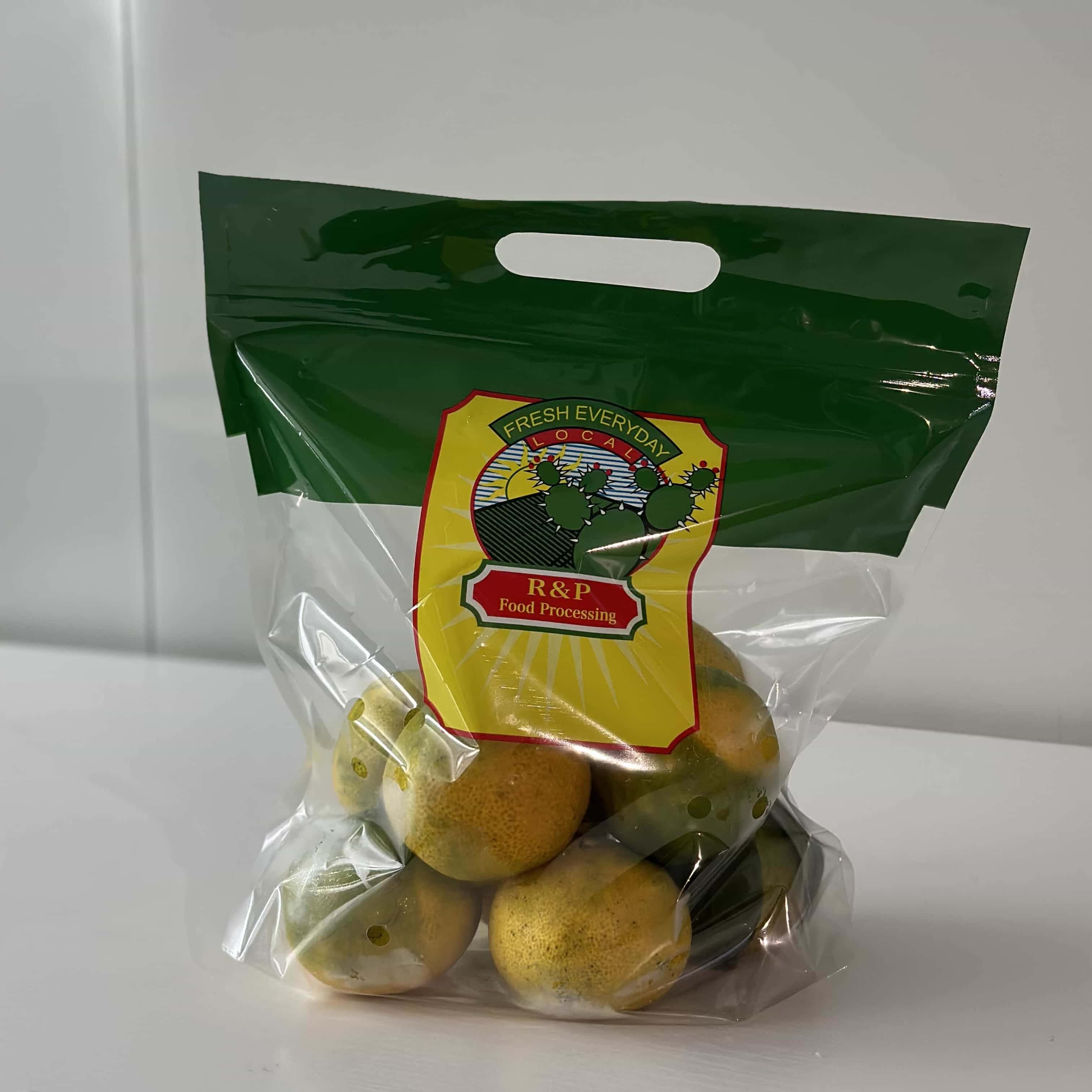 Plastic Zipper Bags for Food