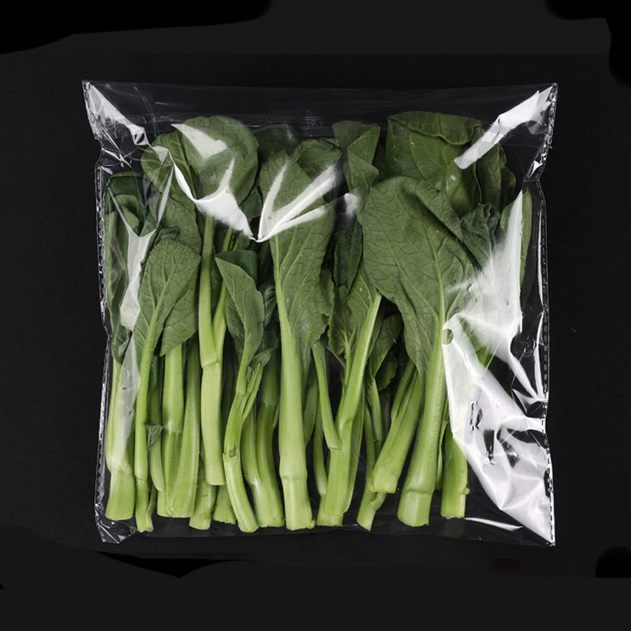 Plastic Self Adhesive Bag