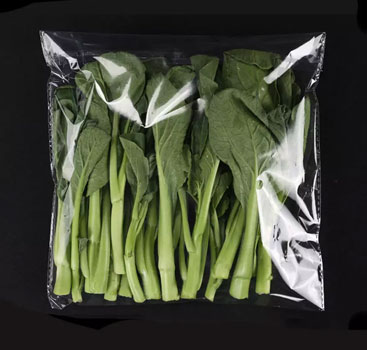 Plastic Self Adhesive Bag